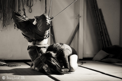 Bondage Swan 76
